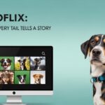 Wooflix: Where Every Tail Tells a Story